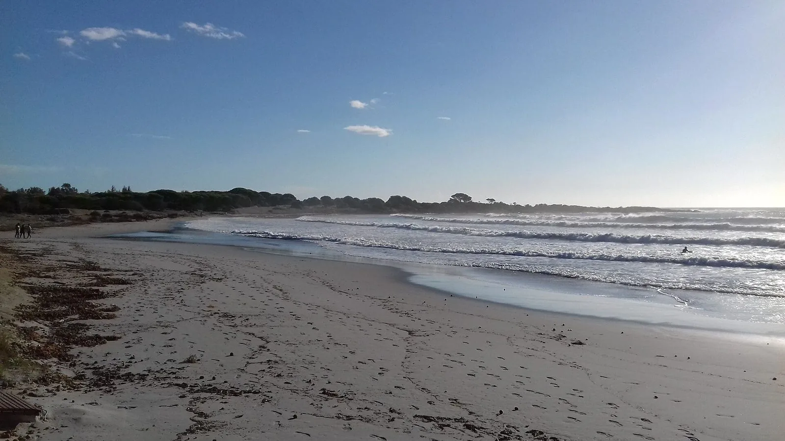Spiaggia di sabbia chiara di Cala Ginepro con la pineta sullo sfondo, nel Golfo di Orosei
